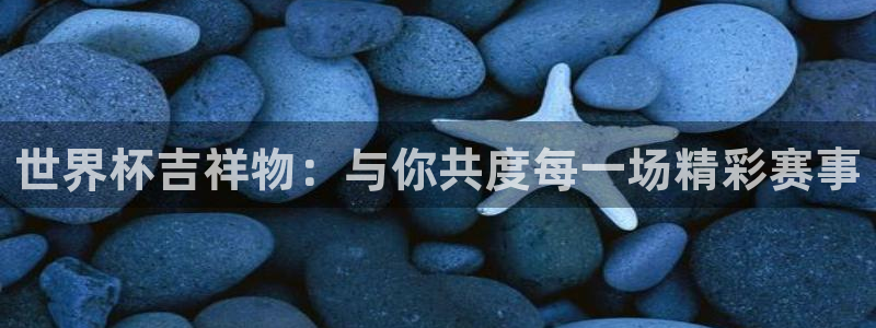世界杯预选赛亚洲区赛程：世界杯吉祥物：与你共度每一场精彩赛事