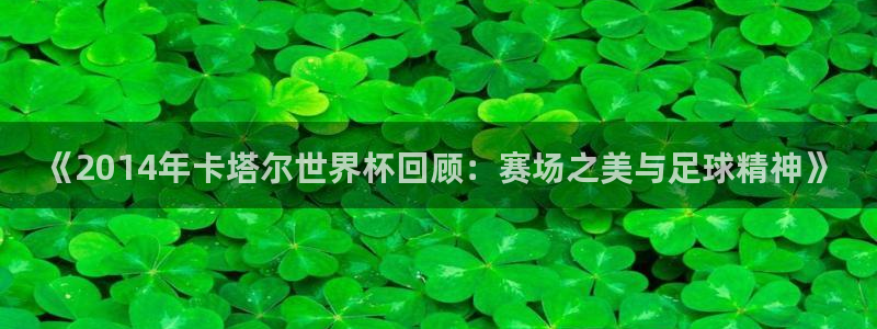 世界杯比赛直播：《2014年卡塔尔世界杯回顾：赛场之美与足球精神》