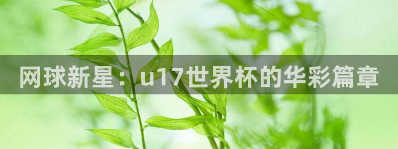 中国 世界杯：网球新星：u17世界杯的华彩篇章