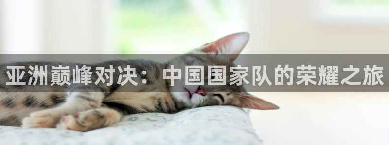 26世界杯：亚洲巅峰对决：中国国家队的荣耀之旅