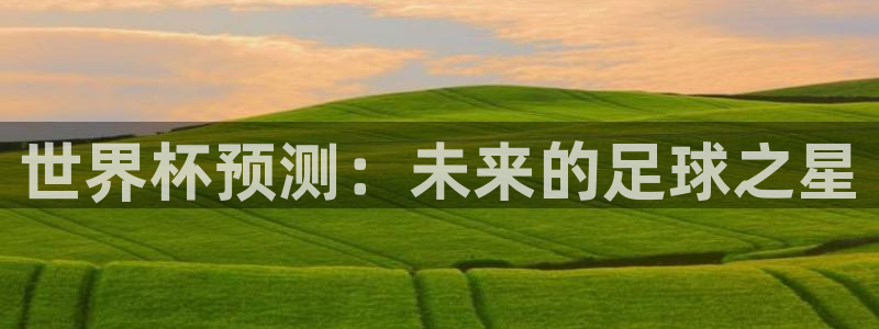 世界杯欧洲区世预赛赛程：世界杯预测：未来的足球之星