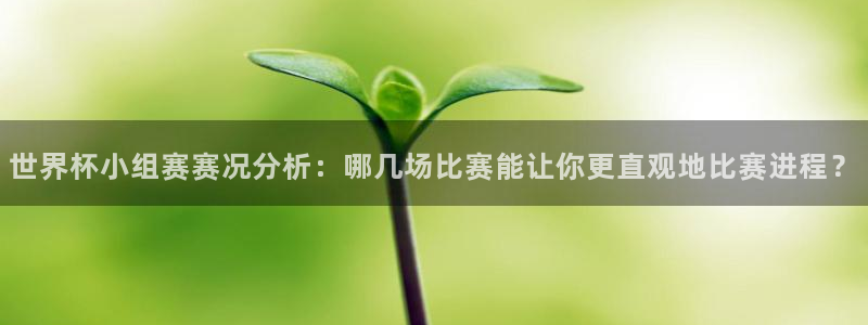 世界杯2026赛程时间表格：世界杯小组赛赛况分析：哪几场比赛能让你更直观地比赛进程？