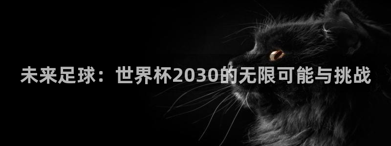 世界杯预选赛亚洲区赛程：未来足球：世界杯2030的无限可能与挑战