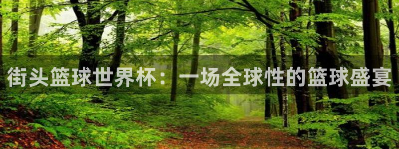 世界杯预选赛亚洲：街头篮球世界杯：一场全球性的篮球盛宴