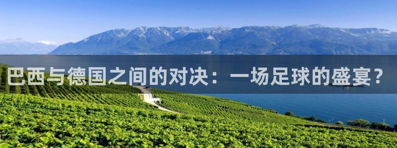 2026男足世界杯：巴西与德国之间的对决：一场足球的盛宴？