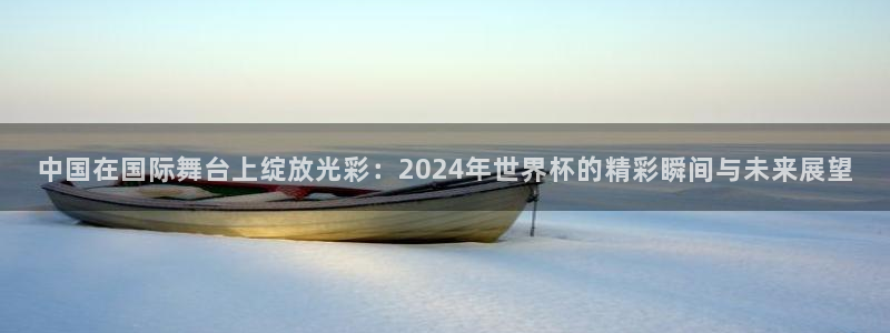 世界杯比赛赛程：中国在国际舞台上绽放光彩：2024年世界杯的精彩瞬间与未来展望