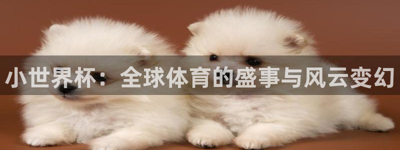 世界杯 中国：小世界杯：全球体育的盛事与风云变幻