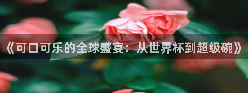世界杯预选赛规则：《可口可乐的全球盛宴：从世界杯到超级碗》