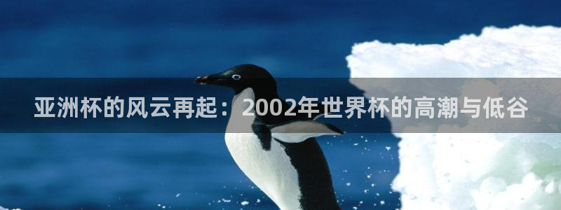世界杯比赛直播：亚洲杯的风云再起：2002年世界杯的高潮与低谷