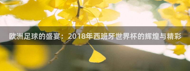 2026年男足世界杯：欧洲足球的盛宴：2018年西班牙世界杯的辉煌与精彩