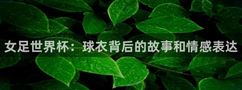 世界杯亚洲区预选赛赛程：女足世界杯：球衣背后的故事和情感表达